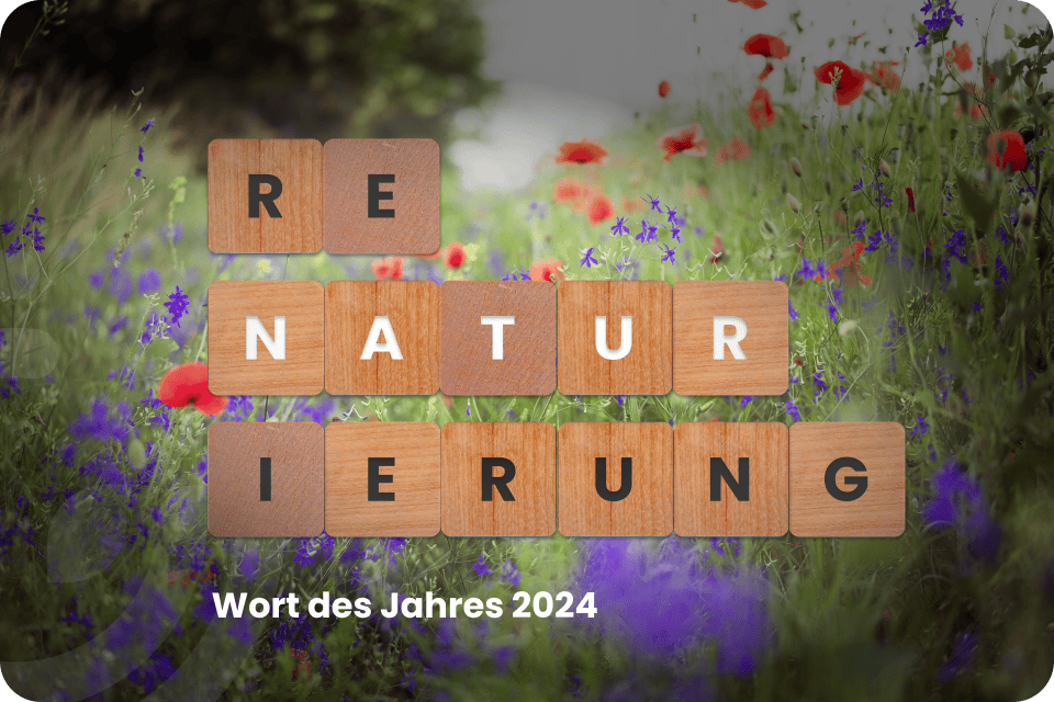Renaturierung als Schlüssel für Klimawandelanpassung und Biodiversität